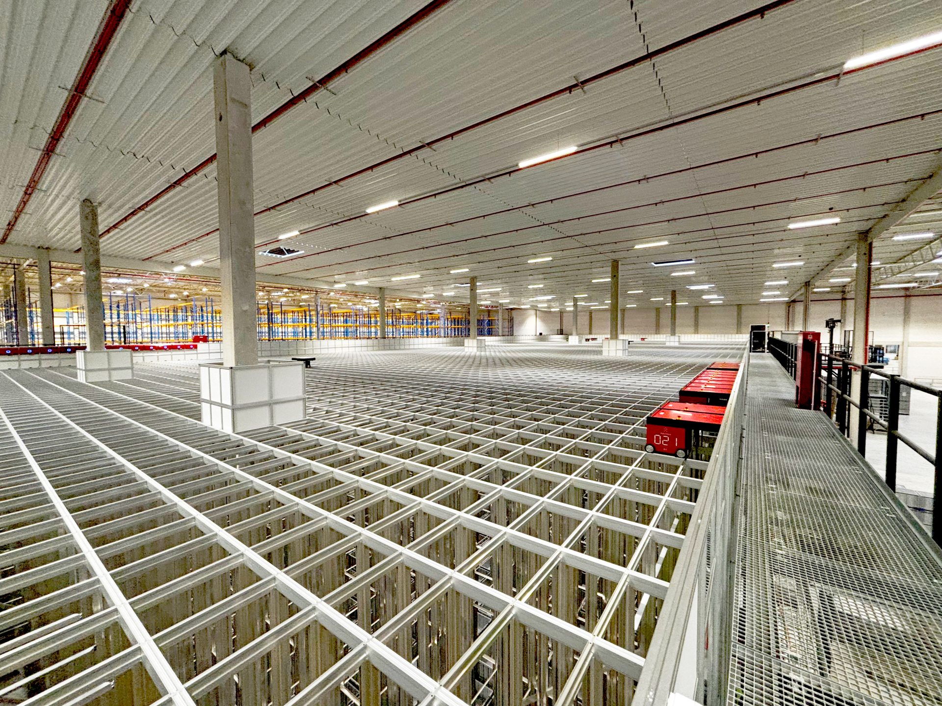 IMG_1906-2024-11-14-5