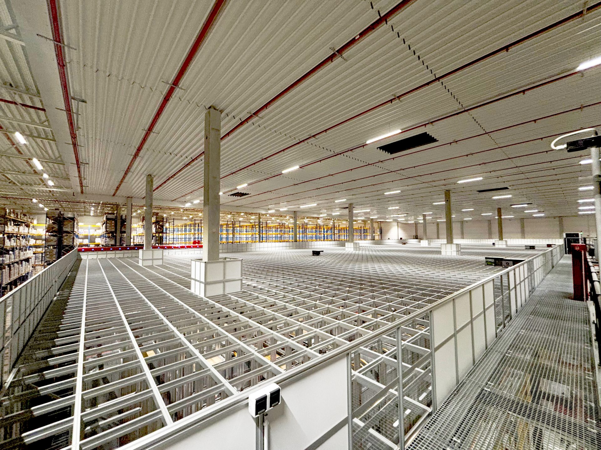 IMG_2535-2024-11-14-5